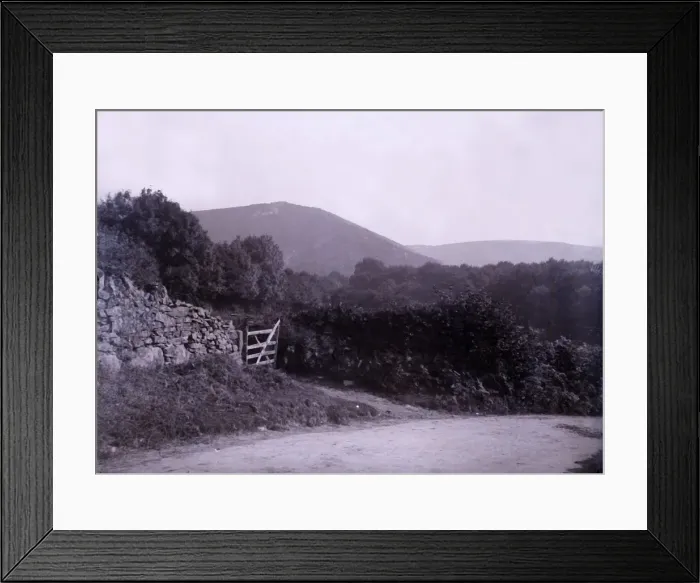 Framed Print : Countryside near Plymouth in Devon. Creator: Unknown Framed Print : Countryside near Plymouth in Devon. Creator: Unknown