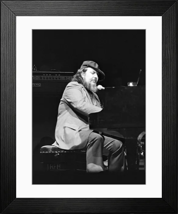Framed Print : Dr John, Capital Jazz Festival, Royal Festival Hall, London, July 1986. Creator: Brian O Connor Framed Print : Dr John, Capital Jazz Festival, Royal Festival Hall, London, July 1986. Creator: Brian O Connor