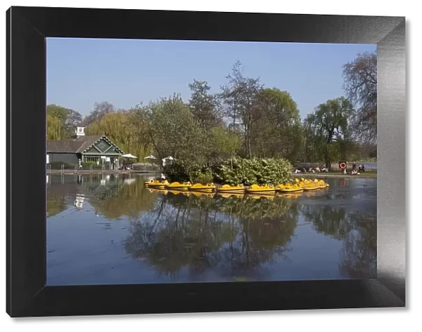 Regents Park - Reflections of the gardens around the childrens boating pond, London, NW1
