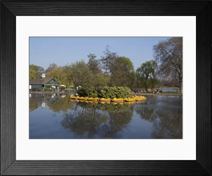 Framed Print : Regents Park - Reflections of the gardens around the childrens boating pond, London, NW1 Framed Print : Regents Park - Reflections of the gardens around the childrens boating pond, London, NW1