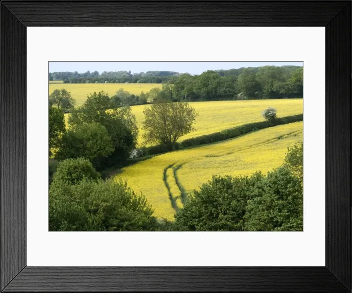 Framed Print : Suffolk countryside, England, 25 / 5 / 10. Creator: Ethel Davies; Davies, Ethel Framed Print : Suffolk countryside, England, 25 / 5 / 10. Creator: Ethel Davies; Davies, Ethel