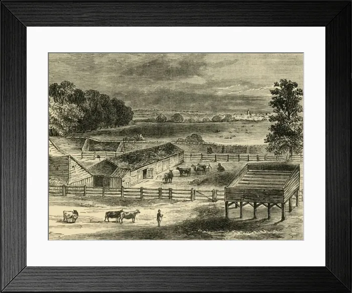 Framed Print : The Place of Execution, Tyburn, in 1790, (c1876). Creator: Unknown Framed Print : The Place of Execution, Tyburn, in 1790, (c1876). Creator: Unknown