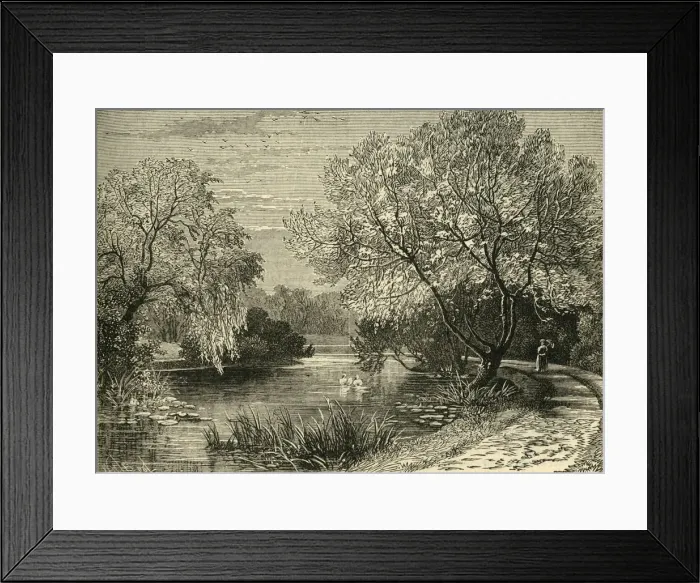 Framed Print : The Botanical Gardens, Regents Park, c1876. Creator: Unknown Framed Print : The Botanical Gardens, Regents Park, c1876. Creator: Unknown