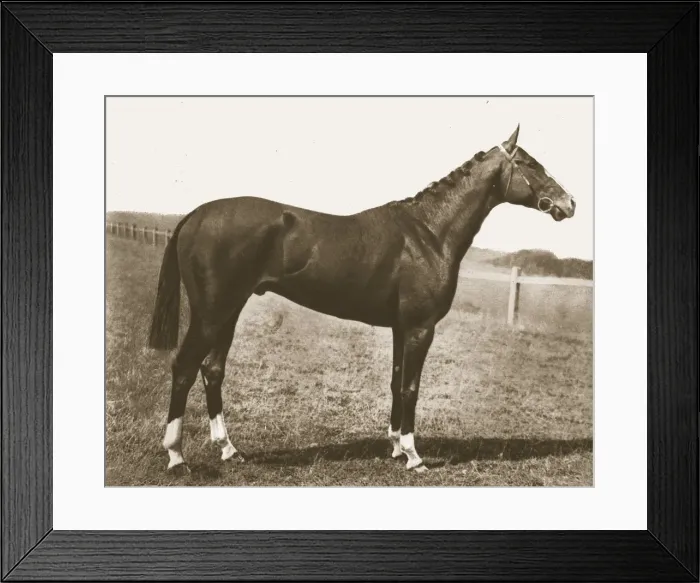Framed Print : Weathercock, 1911. Creator: Unknown Framed Print : Weathercock, 1911. Creator: Unknown