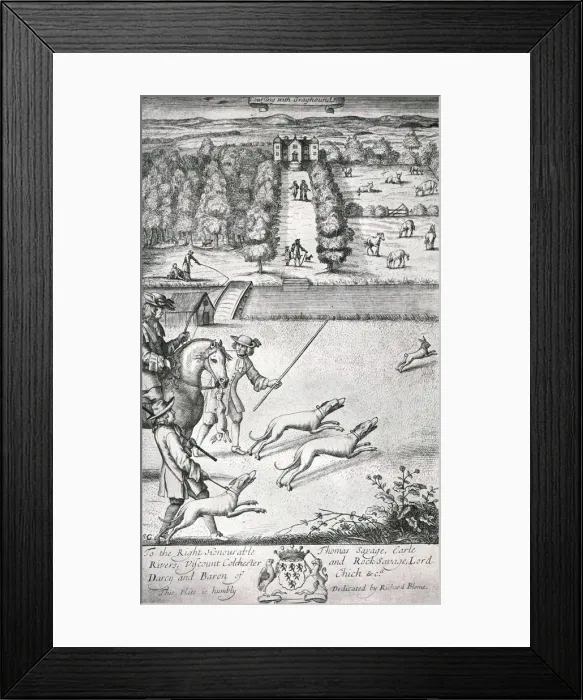 Framed Print : Coursing with Grayhounds, late 17th century, (1911). Creator:s G Framed Print : Coursing with Grayhounds, late 17th century, (1911). Creator:s G
