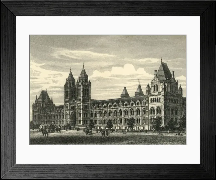 Framed Print : The Natural History Museum, South Kensington, c1876. Creator: Unknown Framed Print : The Natural History Museum, South Kensington, c1876. Creator: Unknown