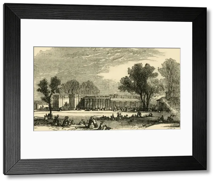 Framed Print : Houses of the Carnivora, c1876. Creator: Unknown Framed Print : Houses of the Carnivora, c1876. Creator: Unknown