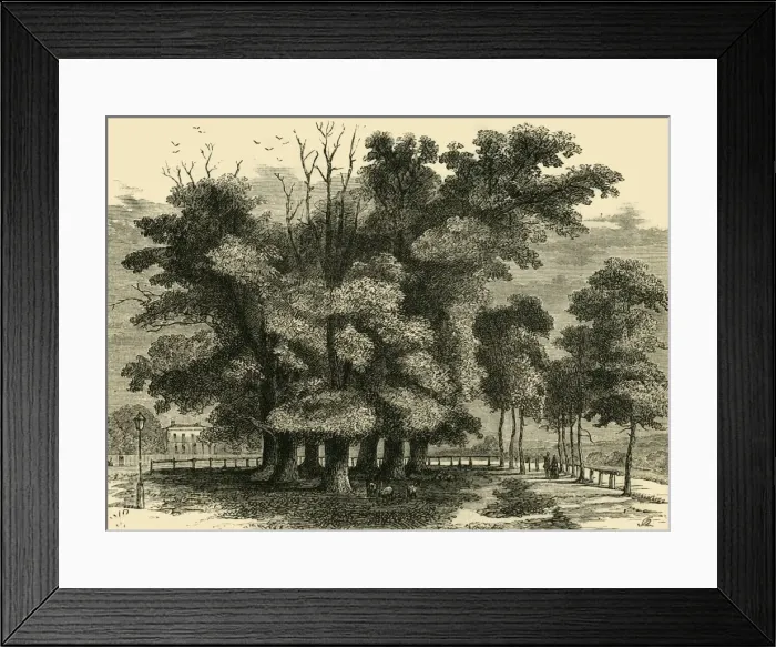 Framed Print : The Seven Sisters, in 1830, (c1876). Creator: Unknown