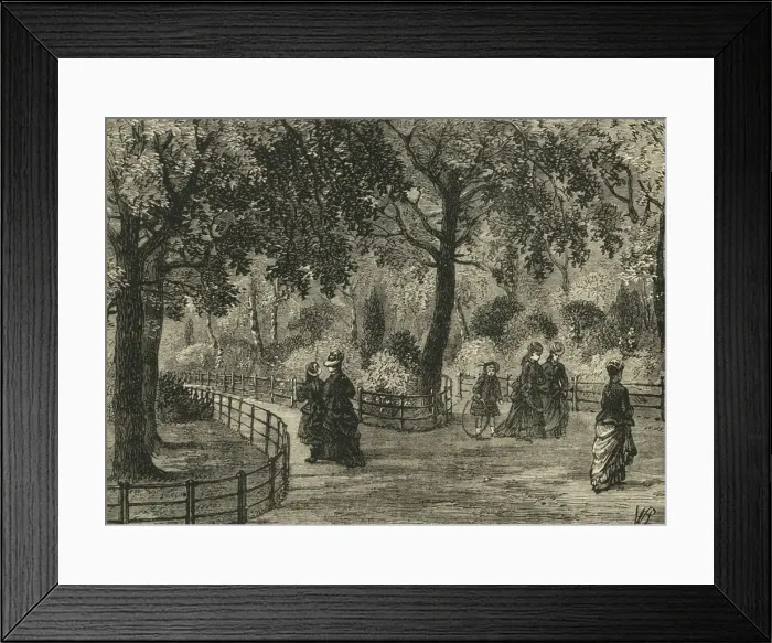 Framed Print : The Flower Walks, Kensington Gardens, c1876. Creator: Unknown Framed Print : The Flower Walks, Kensington Gardens, c1876. Creator: Unknown