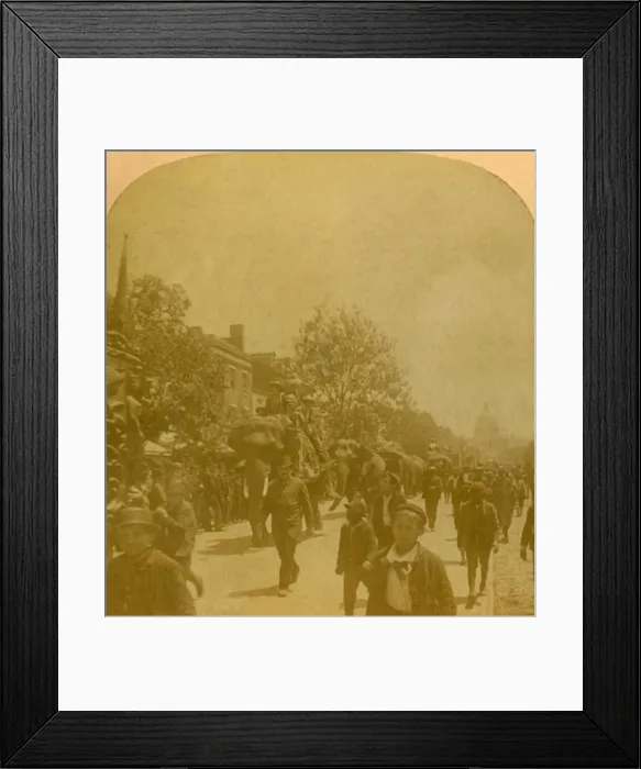 Framed Print : Barnums Parade, Penn. Ave. Washington D. C. late 19th-early 20th century. Creator: Unknown Framed Print : Barnums Parade, Penn. Ave. Washington D. C. late 19th-early 20th century. Creator: Unknown