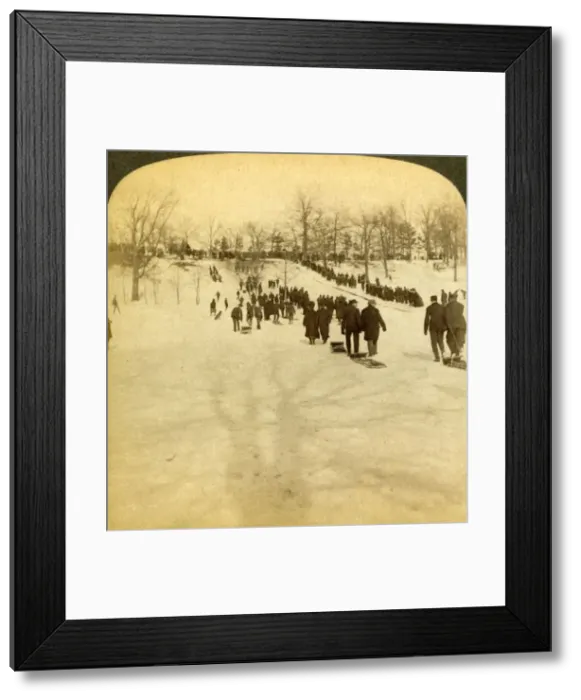 Framed Print : Canadian winter sports - tobogganing, 1905. Creator: Underwood & Underwood Framed Print : Canadian winter sports - tobogganing, 1905. Creator: Underwood & Underwood