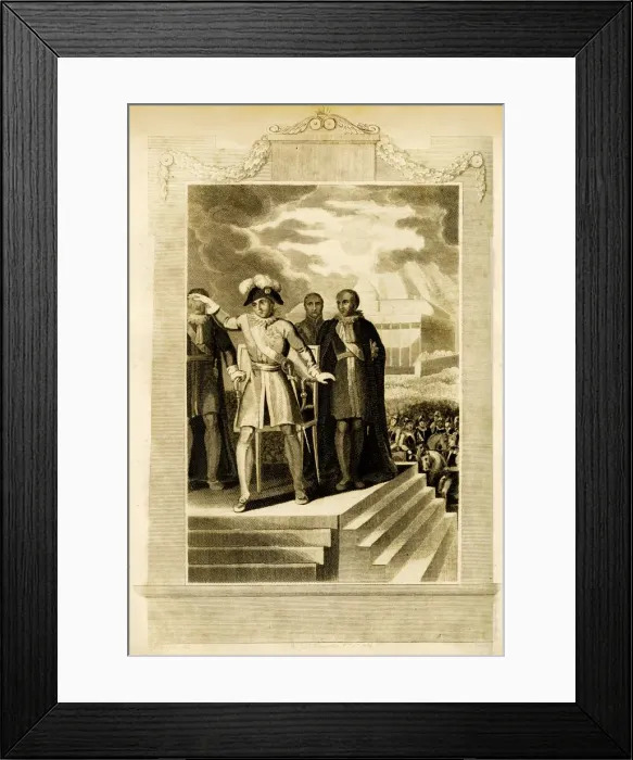 Framed Print : Buonaparte at the Field of May, 1816. Creator: Unknown