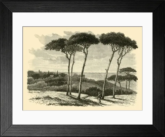 Framed Print : Tusculum, 1890. Creator: Unknown Framed Print : Tusculum, 1890. Creator: Unknown