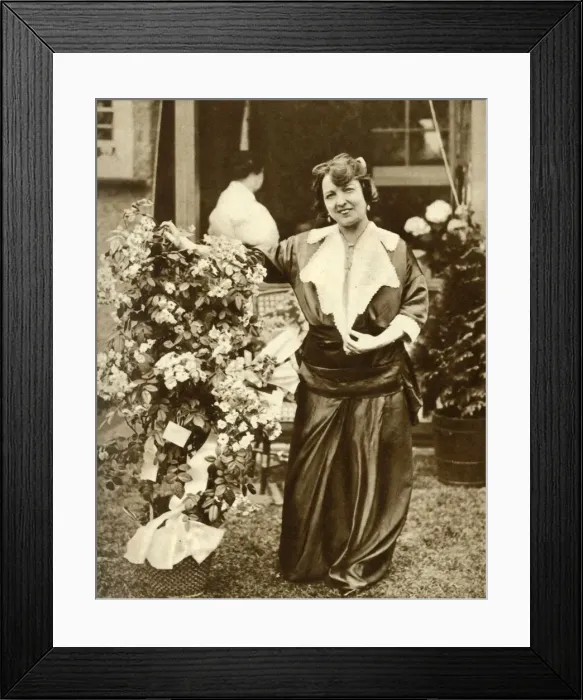 Framed Print : Marie Lloyd, c1910s. Creator: Unknown Framed Print : Marie Lloyd, c1910s. Creator: Unknown