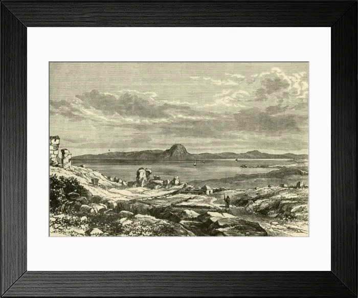 Framed Print : The Site of Carthage, 1890. Creator: Unknown