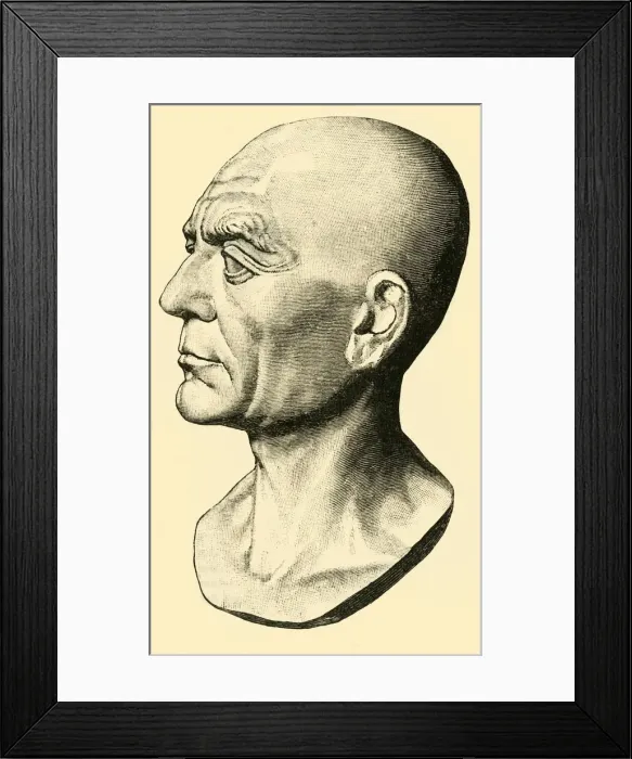 Framed Print : Scipio Africanus, 1890. Creator: Unknown Framed Print : Scipio Africanus, 1890. Creator: Unknown