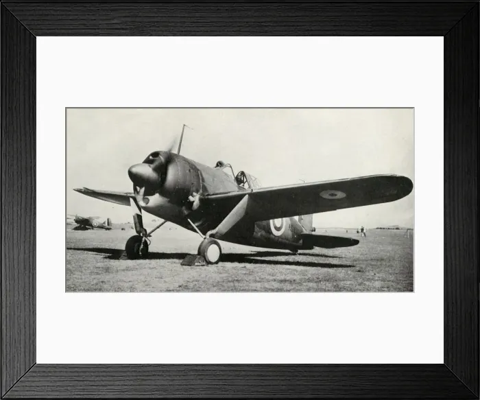Framed Print : The Brewster Buffalo, 1941. Creator: Unknown Framed Print : The Brewster Buffalo, 1941. Creator: Unknown