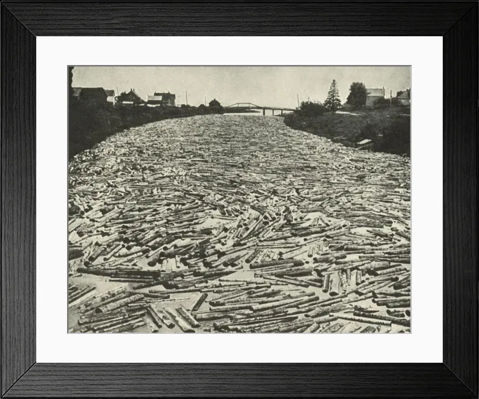 Framed Print : On their Way to the Saw Mills, c1948. Creator: Unknown Framed Print : On their Way to the Saw Mills, c1948. Creator: Unknown