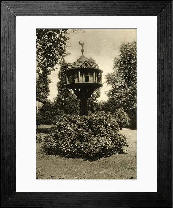 Framed Print : A Dovecote - in the garden of Dowager Marchioness of Bute, St. Johns Lodge, Regents Park, 1920 Framed Print : A Dovecote - in the garden of Dowager Marchioness of Bute, St. Johns Lodge, Regents Park, 1920