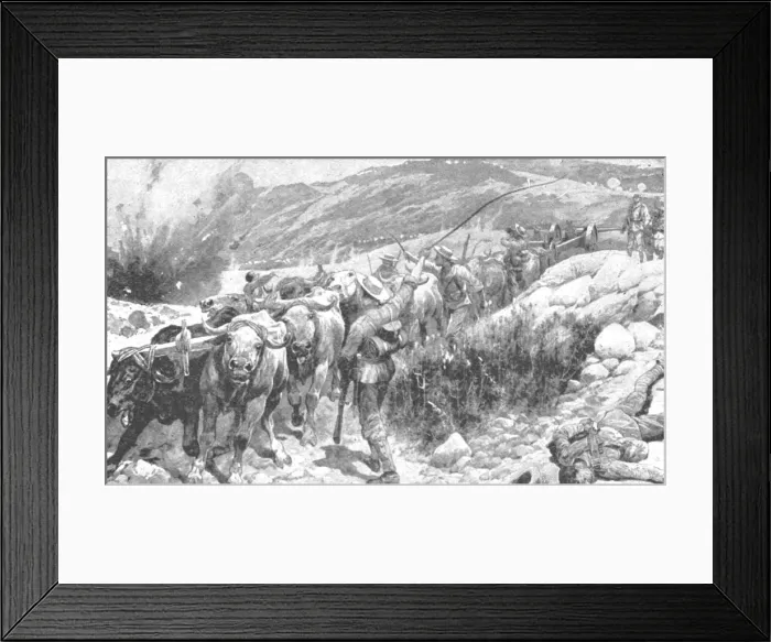 Framed Print : The Transvaal War, 1899-1901: The Bluejackets Saving a Gun, (1901). Creator: Unknown Framed Print : The Transvaal War, 1899-1901: The Bluejackets Saving a Gun, (1901). Creator: Unknown