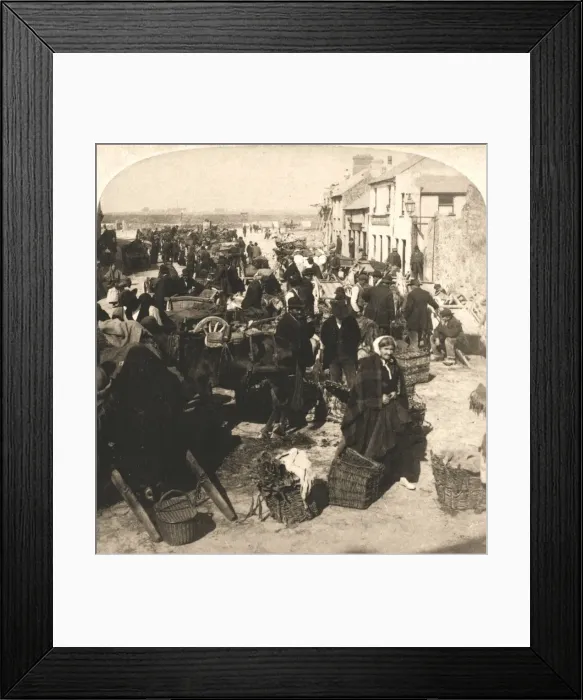 Framed Print : Selling the Irishmans Staff of Life, the Potatoe Market, Galway, Ireland, 1901 Framed Print : Selling the Irishmans Staff of Life, the Potatoe Market, Galway, Ireland, 1901