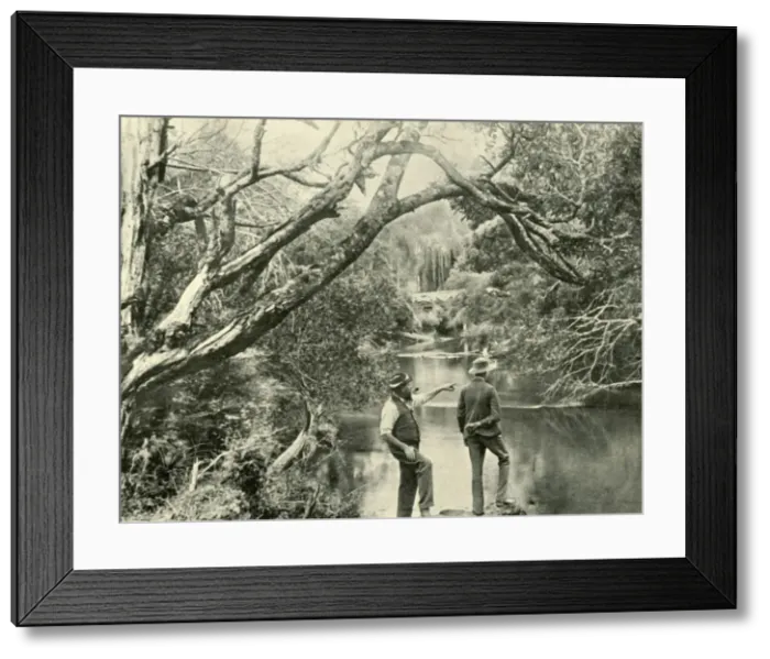 Framed Print : The Launching Place, Upper Yarra, Victoria, 1901. Creator: Unknown Framed Print : The Launching Place, Upper Yarra, Victoria, 1901. Creator: Unknown