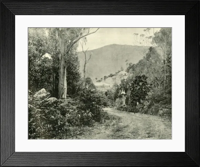 Framed Print : On the Illawarra Road, N. S. W. 1901. Creator: Unknown Framed Print : On the Illawarra Road, N. S. W. 1901. Creator: Unknown