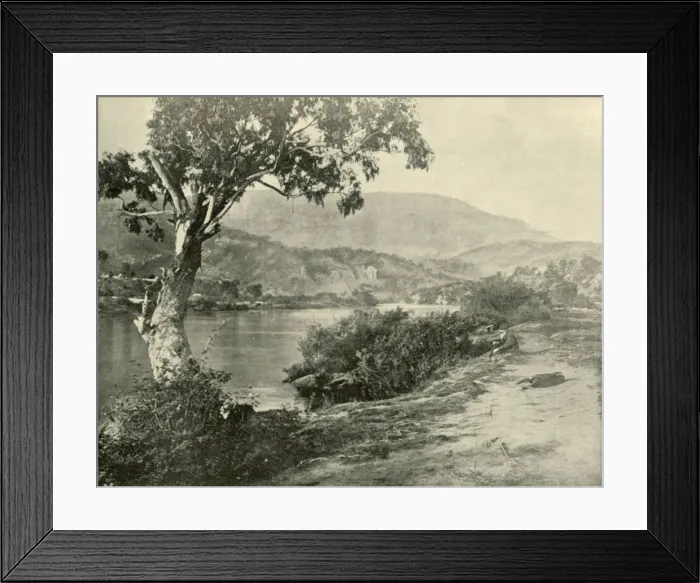 Framed Print : The Derwent at New Norfolk, 1901. Creator: Unknown Framed Print : The Derwent at New Norfolk, 1901. Creator: Unknown