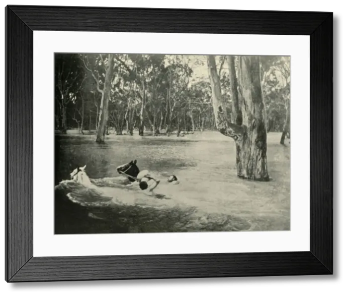 Framed Print : A Banker, 1901. Creator: Unknown Framed Print : A Banker, 1901. Creator: Unknown