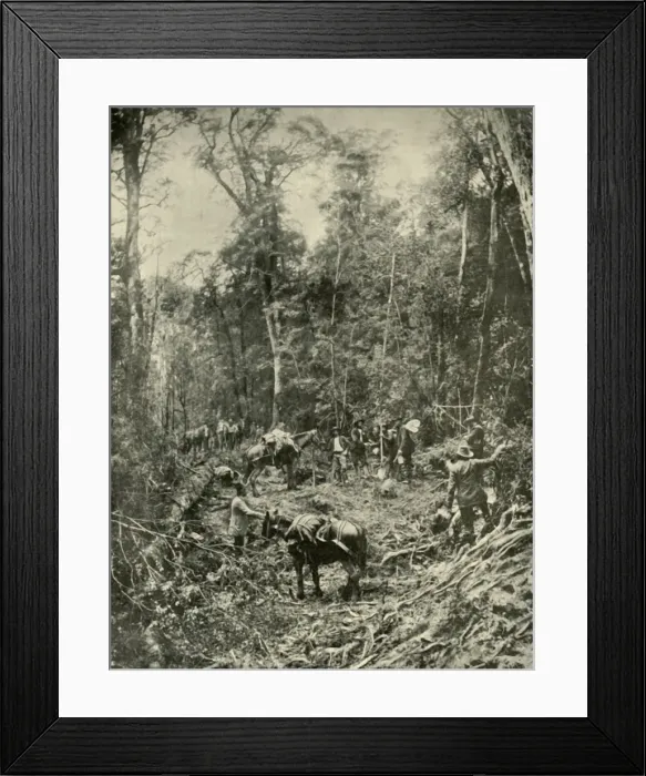 Framed Print : A Rough Road, Tasmania, 1901. Creator: Unknown Framed Print : A Rough Road, Tasmania, 1901. Creator: Unknown