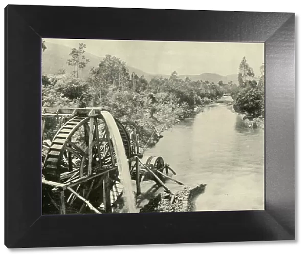 In the Ovens River, Germantown, 1901. Creator: Unknown