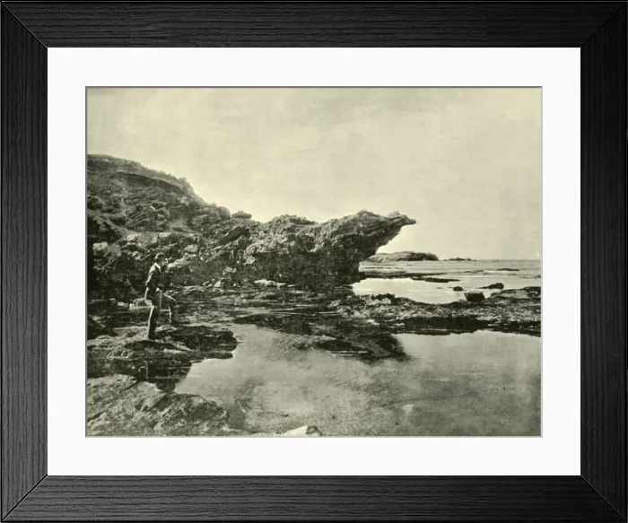 Framed Print : Low Tide, Shelly Beach, Warrnambool, 1901. Creator: Unknown Framed Print : Low Tide, Shelly Beach, Warrnambool, 1901. Creator: Unknown