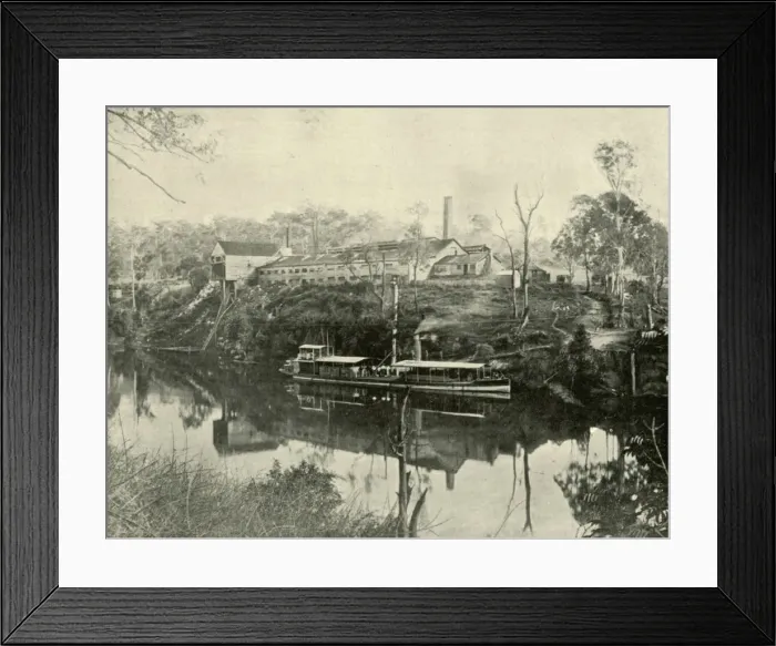 Framed Print : Meat Works, near Grafton, New South Wales, 1901. Creator: Unknown Framed Print : Meat Works, near Grafton, New South Wales, 1901. Creator: Unknown
