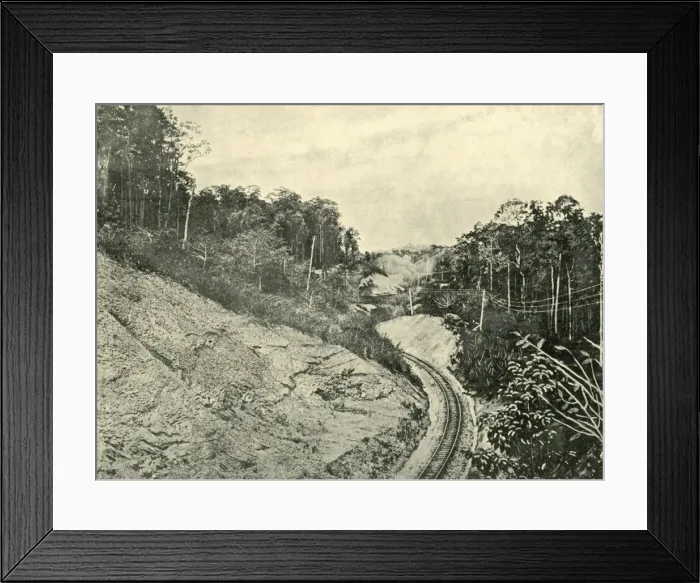Framed Print : In the Blackall Ranges, 1901. Creator: Unknown Framed Print : In the Blackall Ranges, 1901. Creator: Unknown