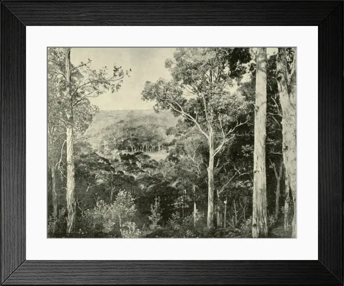 Framed Print : The Blue Mountains, 1901. Creator: Unknown Framed Print : The Blue Mountains, 1901. Creator: Unknown