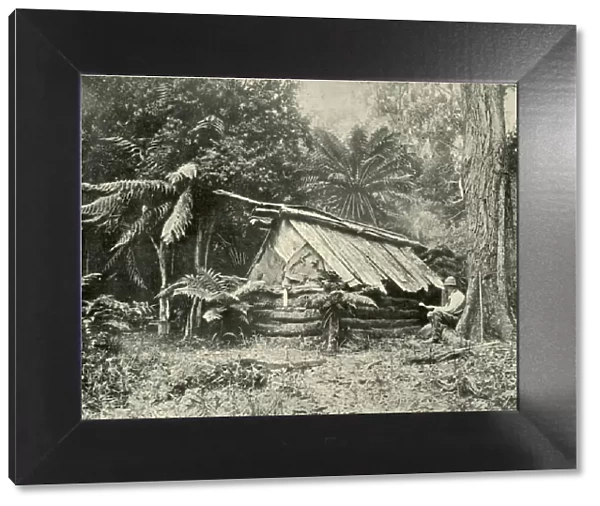 Bush Hut, Dandenong Ranges, Victoria, 1901. Creator: Unknown