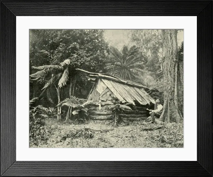 Framed Print : Bush Hut, Dandenong Ranges, Victoria, 1901. Creator: Unknown Framed Print : Bush Hut, Dandenong Ranges, Victoria, 1901. Creator: Unknown