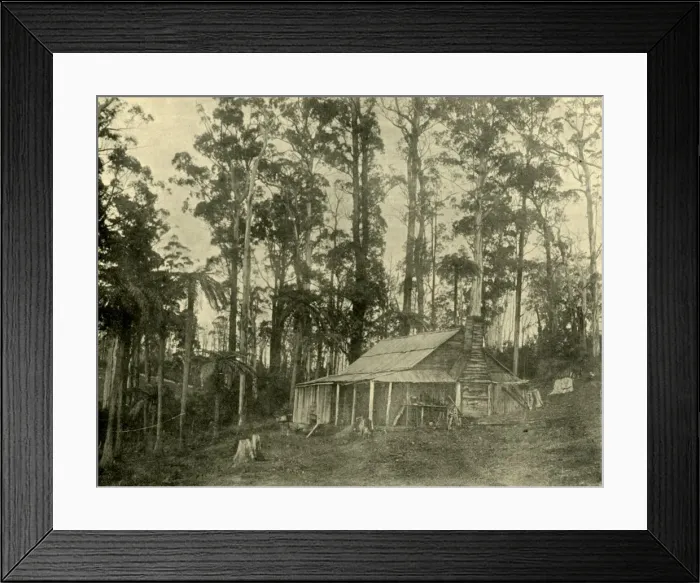 Framed Print : A Rustic Dwelling, 1901. Creator: Unknown Framed Print : A Rustic Dwelling, 1901. Creator: Unknown