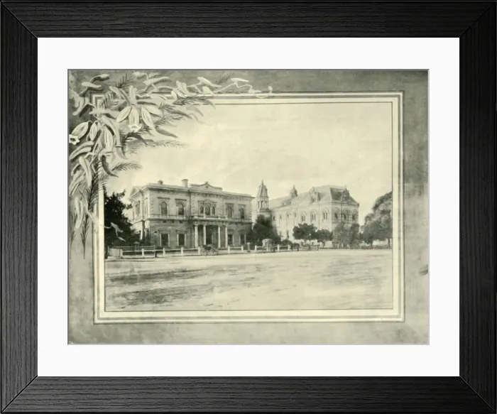 Framed Print : Institute and Museum, Adelaide, 1901. Creator: Unknown Framed Print : Institute and Museum, Adelaide, 1901. Creator: Unknown