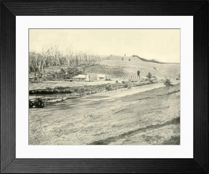Framed Print : Bush Workmans Home, Gippsland, Victoria, 1901. Creator: Unknown Framed Print : Bush Workmans Home, Gippsland, Victoria, 1901. Creator: Unknown