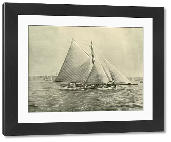 Cruising in Port Jackson, 1901. Creator: Unknown