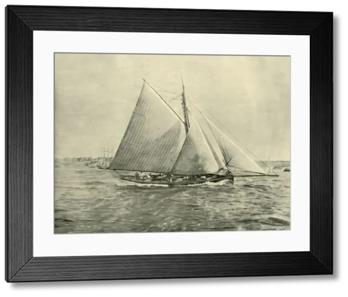 Framed Print : Cruising in Port Jackson, 1901. Creator: Unknown Framed Print : Cruising in Port Jackson, 1901. Creator: Unknown