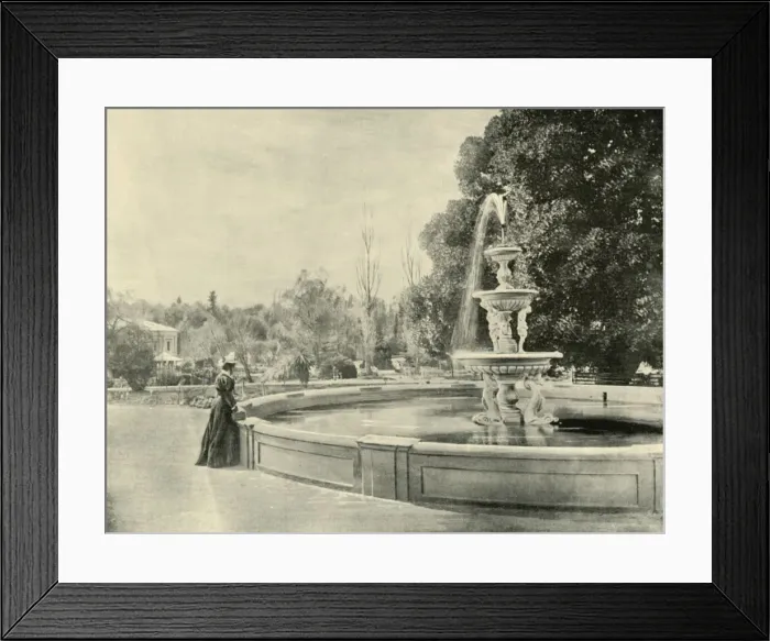 Framed Print : In the Botanic Gardens, Adelaide, 1901. Creator: Unknown Framed Print : In the Botanic Gardens, Adelaide, 1901. Creator: Unknown