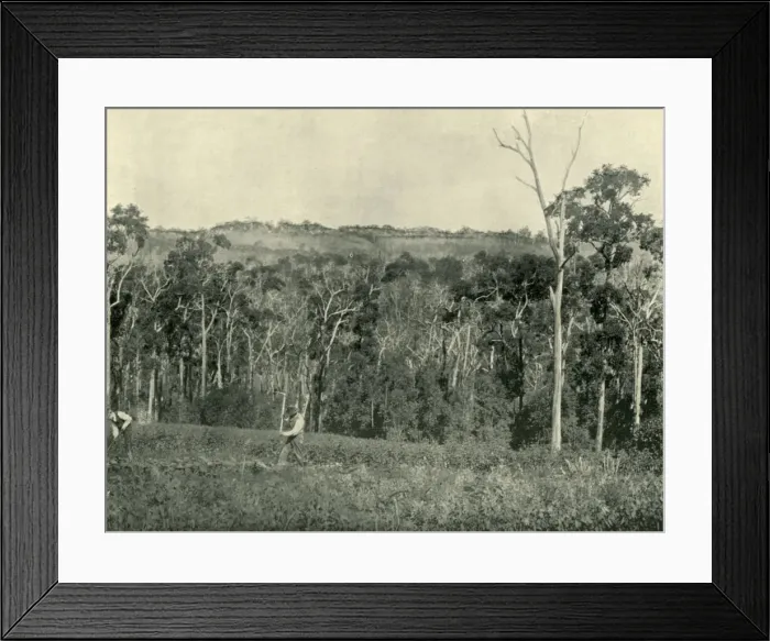 Framed Print : A Victorian Mountain Farm, 1901. Creator: Unknown Framed Print : A Victorian Mountain Farm, 1901. Creator: Unknown