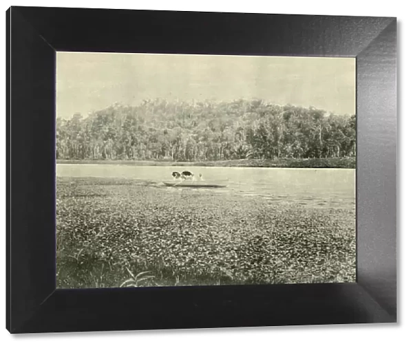 On the Enoggera Lake, 1901. Creator: Unknown