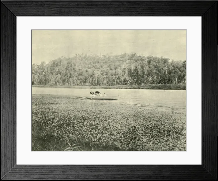 Framed Print : On the Enoggera Lake, 1901. Creator: Unknown Framed Print : On the Enoggera Lake, 1901. Creator: Unknown