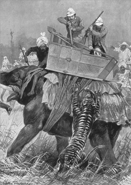 The Visit of the Prince of Wales to India, 1876: The Princes Elephant charged by a Tiger
