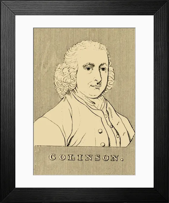Framed Print : Colinson, (1694-1768), 1830. Creator: Unknown Framed Print : Colinson, (1694-1768), 1830. Creator: Unknown