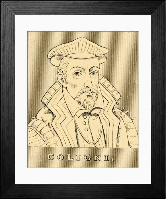 Framed Print : Coligni, (1519-1572), 1830. Creator: Unknown Framed Print : Coligni, (1519-1572), 1830. Creator: Unknown