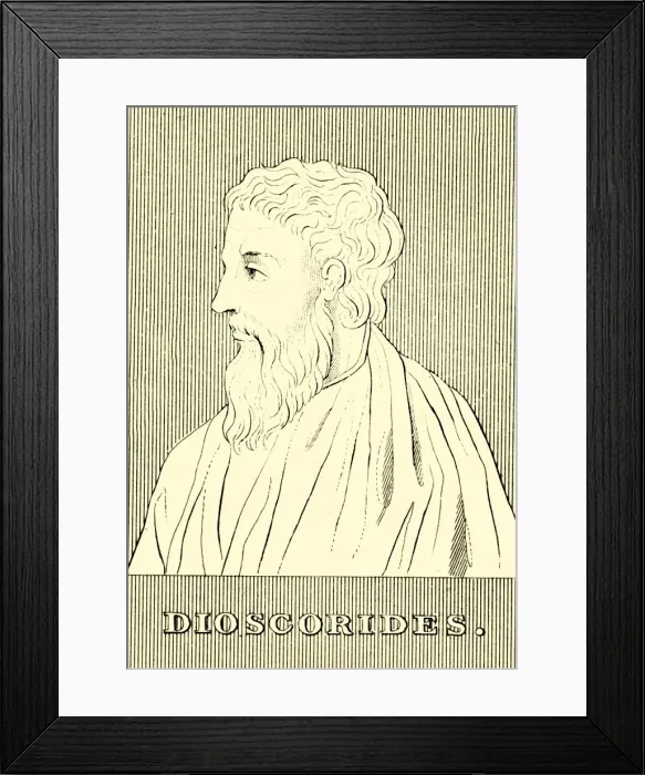 Framed Print : Dioscorides, (c40-90 AD), 1830. Creator: Unknown Framed Print : Dioscorides, (c40-90 AD), 1830. Creator: Unknown